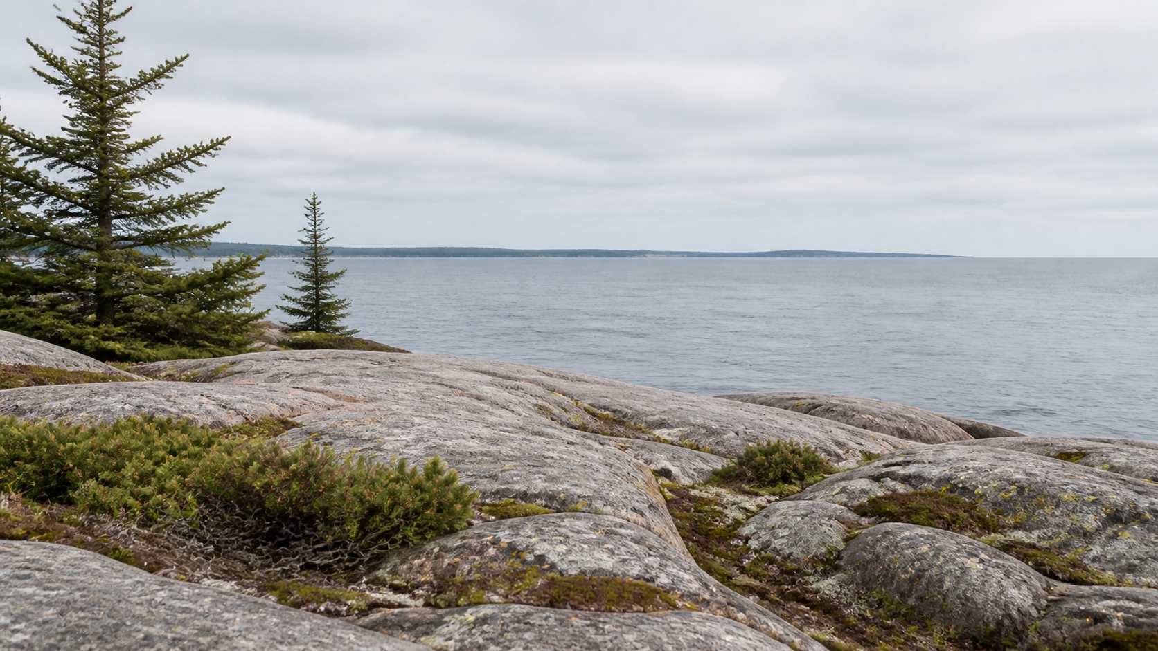 Rounded rock, sparse coastal greenery and grey-blue water shape the imagined Maine setting. AI-generated Concept.
